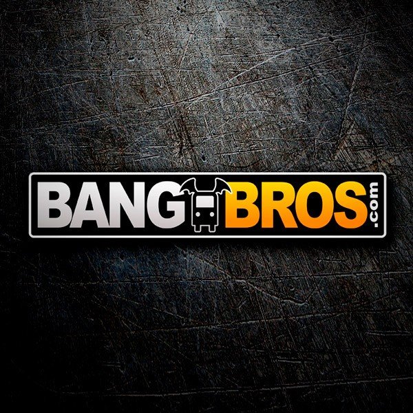 bang bros review